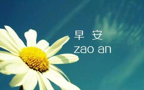 最新早安心語圖片，勵志溫馨的啟程，開啟美好一天的大門