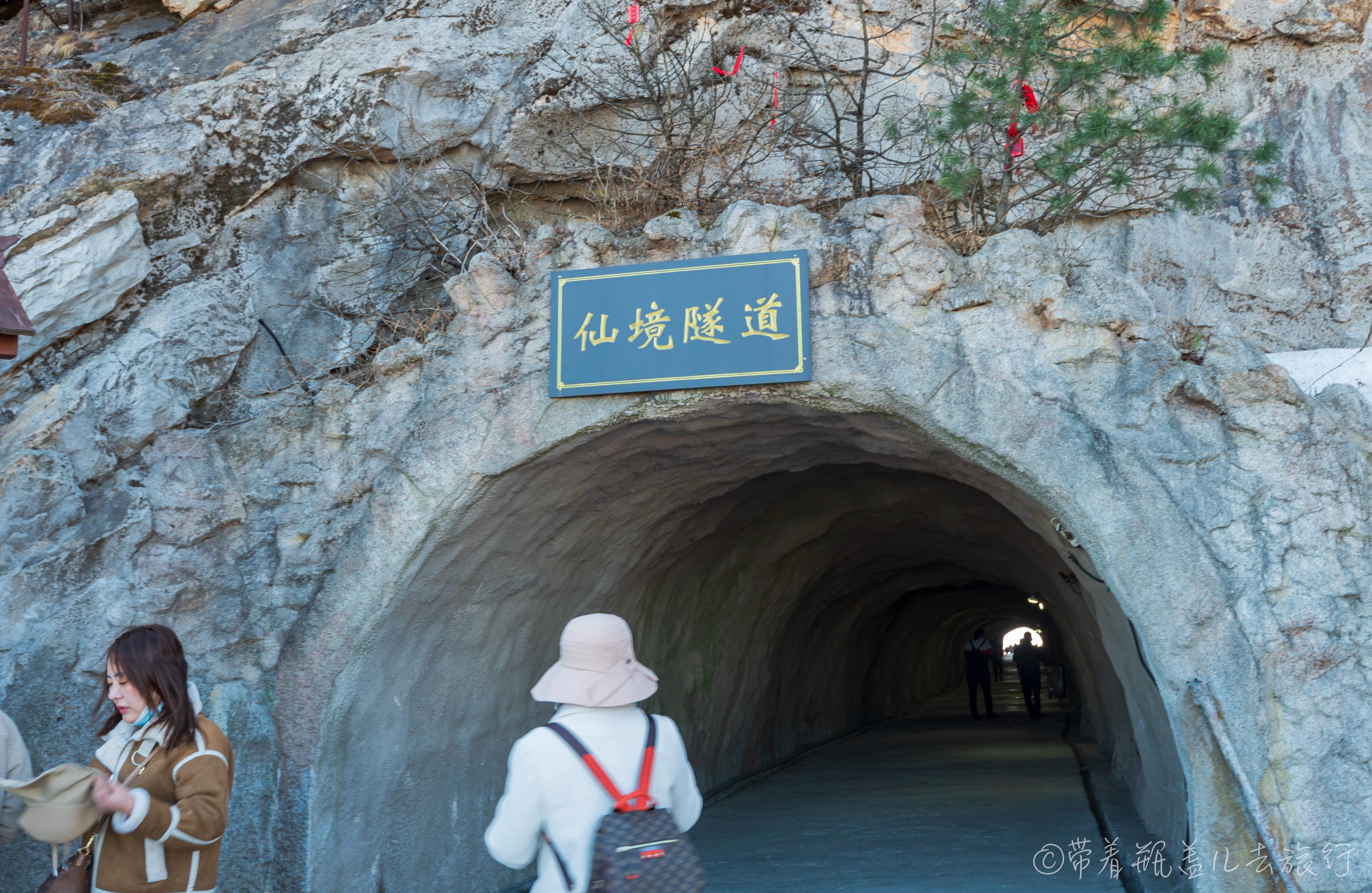 洛陽保姆招聘最新信息及自然美景探索之旅，尋找內(nèi)心平靜之旅