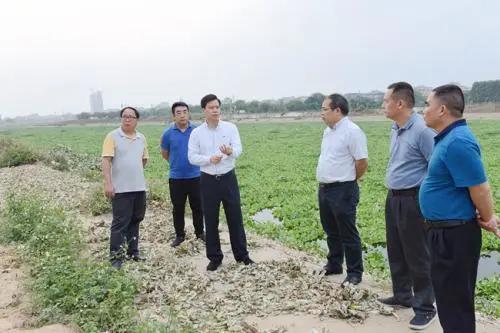樂業(yè)縣人事任命揭曉，開啟發(fā)展新篇章，任命背后的溫馨故事引人關(guān)注