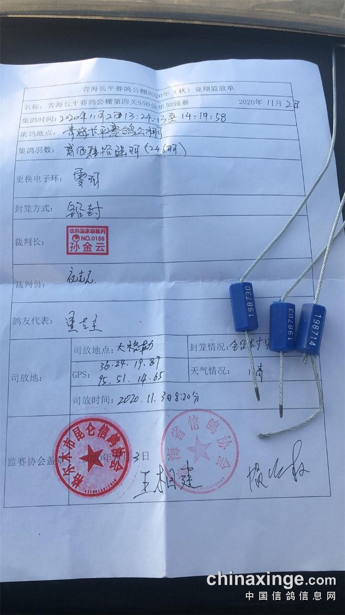2024年12月 第590頁