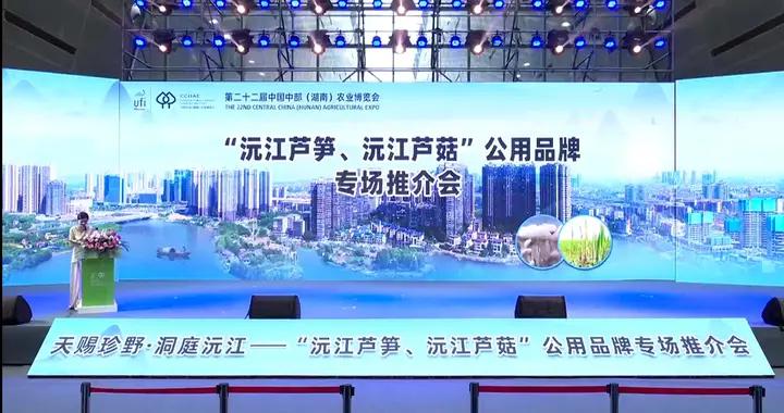 沅江新聞網(wǎng)深度探索，小巷特色小店的美食魅力