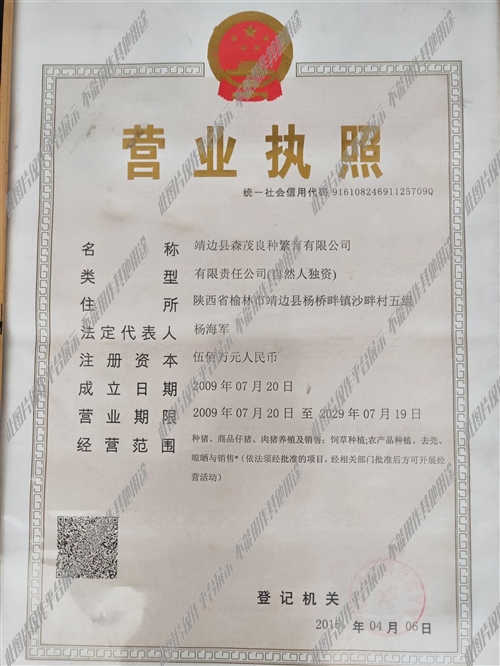2024年12月 第579頁