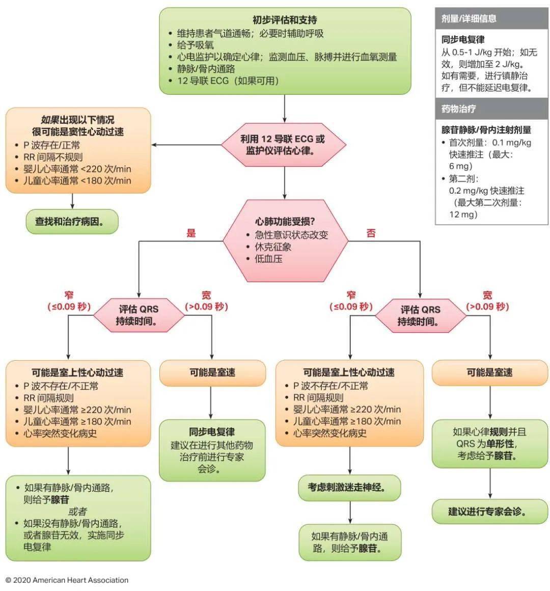 震撼發(fā)布！2024年最新心肺復(fù)蘇指南原版詳解與解讀??