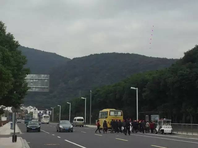廣西靈山最新新聞，小城溫馨日常與深厚友情的交織故事