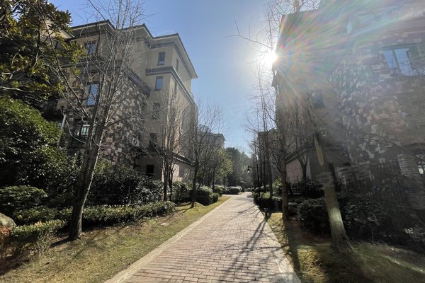 天麓尚層最新房價揭秘，洞悉市場趨勢，預見未來家園價值