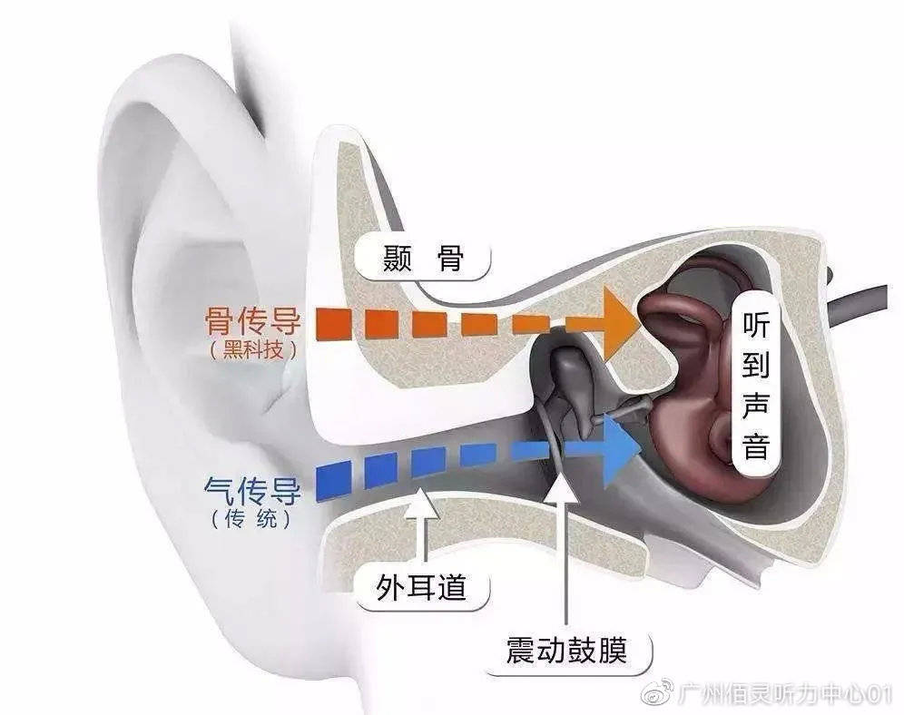 美國耳蝸的秘密，探秘最新款耳蝸耳機(jī)之旅