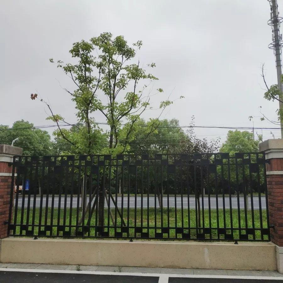 金地積木最新動態(tài)，友情與進(jìn)步的溫馨故事