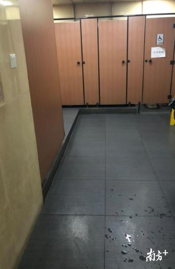 深圳鳥洞廁所的奇妙日常與友情故事