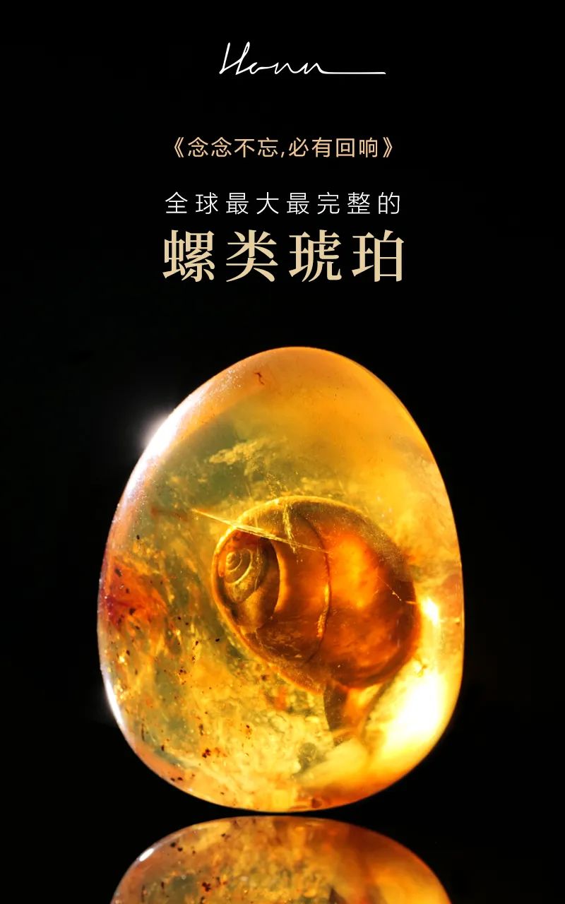 巢湖琥珀最新動(dòng)態(tài)更新，巢湖琥珀最新消息匯總