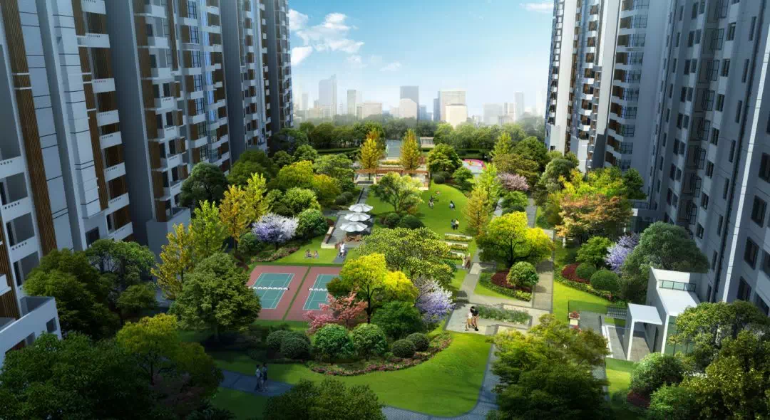 屯溪齊云府最新房?jī)r(jià)，自然美景中的理想居住之選探索之旅