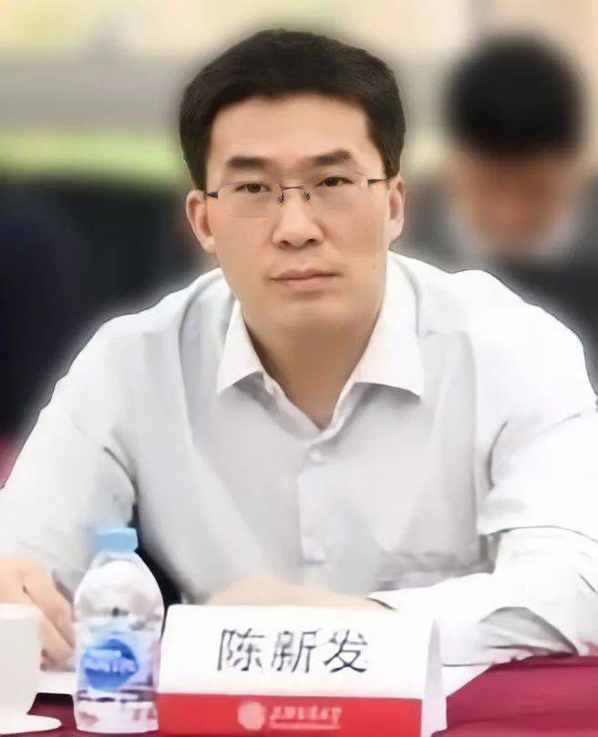 陳新發(fā)最新任職消息，多維度視角下的深度解讀