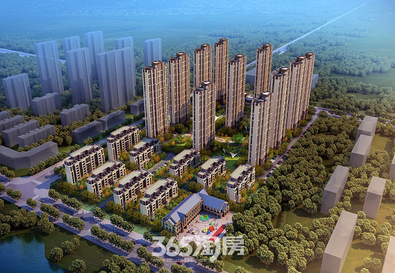 肥西盛榮春天最新動(dòng)態(tài)更新，最新進(jìn)展與資訊速遞