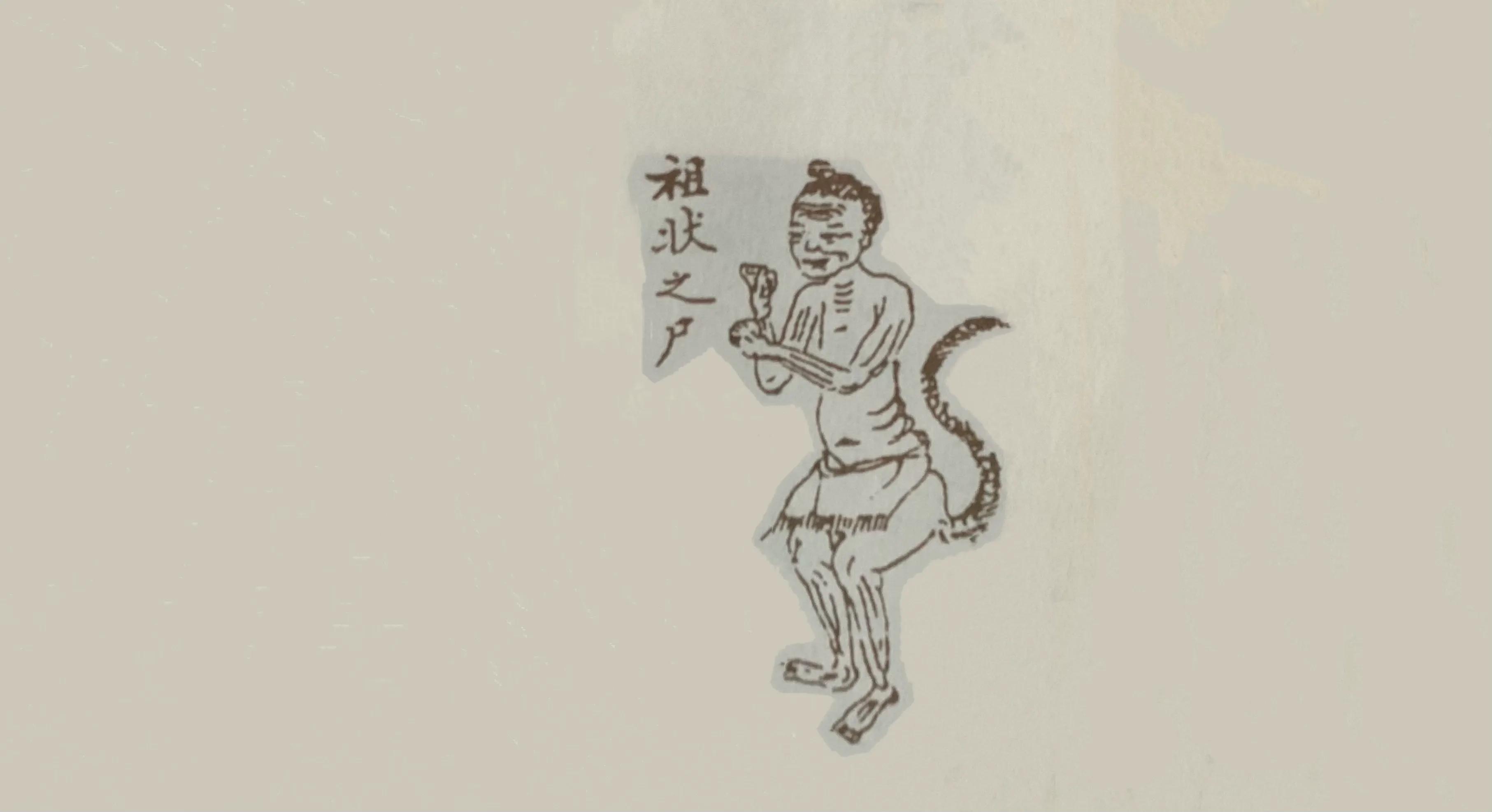 尸行華夏，城市日常溫情與最新章節(jié)揭秘