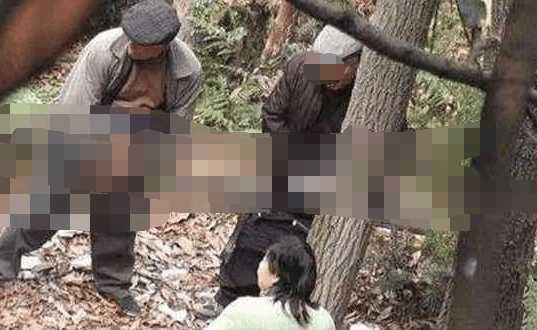 關(guān)于老漢樹林偷腥事件的探索與反思，自然秘境中的道德迷失與內(nèi)心尋求平和之路