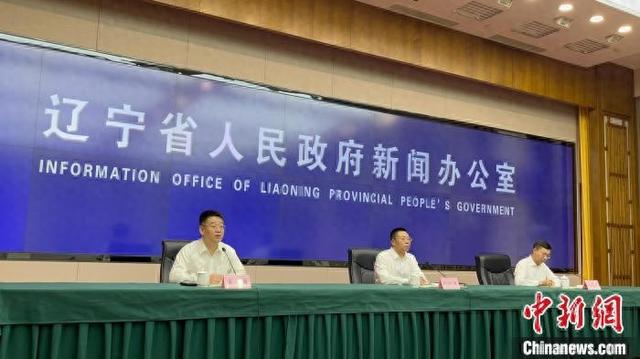 遼寧最新發(fā)布，小巷深處的獨特風(fēng)情
