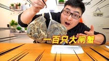 小偉的美食探索傳奇，最新美食試吃之旅