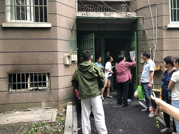 杭州鳥洞最新,杭州鳥洞最新，一段溫馨的探秘之旅