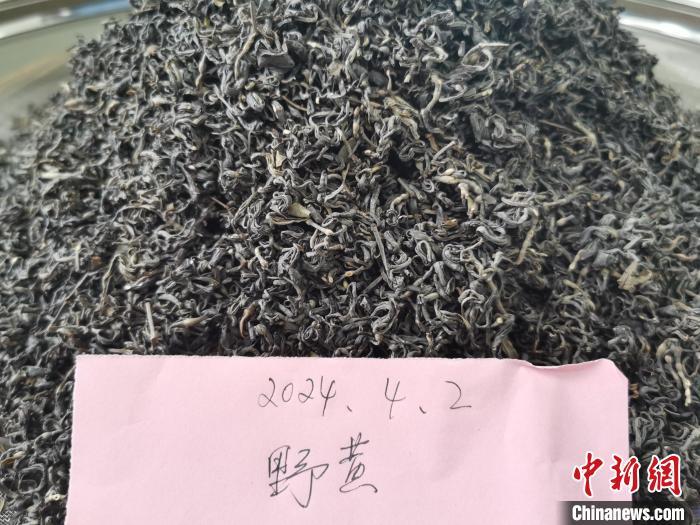 最新黃茶國標(biāo)，探尋自然美景，尋找內(nèi)心平和與寧靜的旅程