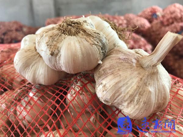 泗陽(yáng)警鐘長(zhǎng)鳴，揭秘最新病毒，守護(hù)健康警報(bào)升級(jí)??