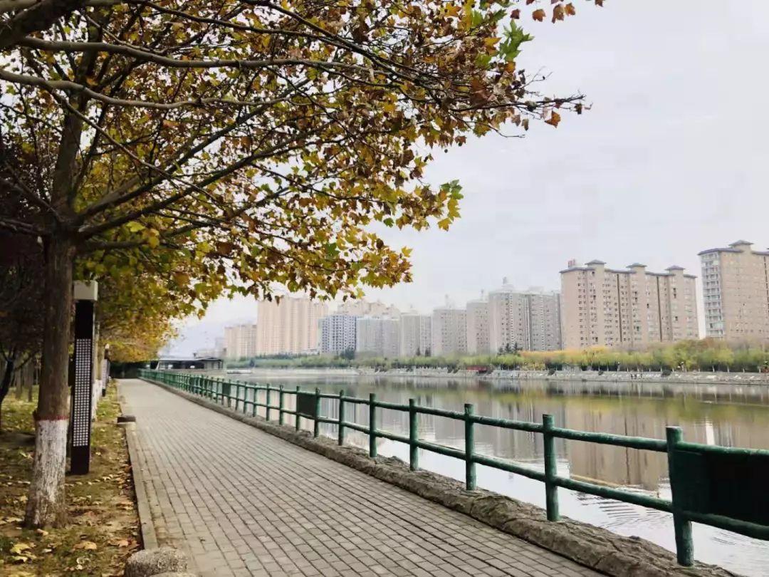 靈寶北區(qū)最新房源揭秘，小巷深處的驚喜房源一覽