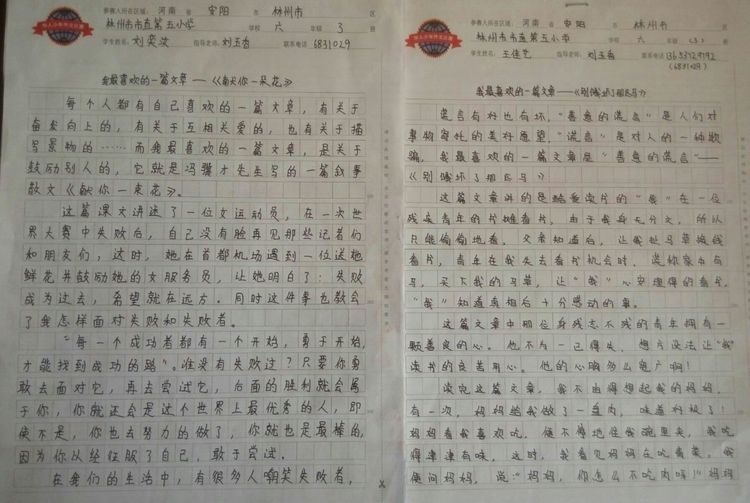 空手道比賽作文，從入門到精通的實(shí)戰(zhàn)指南