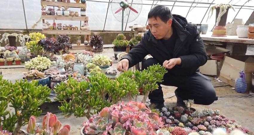 鹿泉兼職信息探索，小巷深處的特色小店兼職之旅