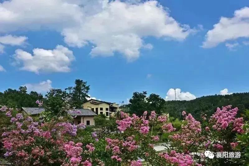 東津高鐵站最新動態(tài),東津高鐵站最新動態(tài)，啟程自然之旅，探尋內(nèi)心之寧靜