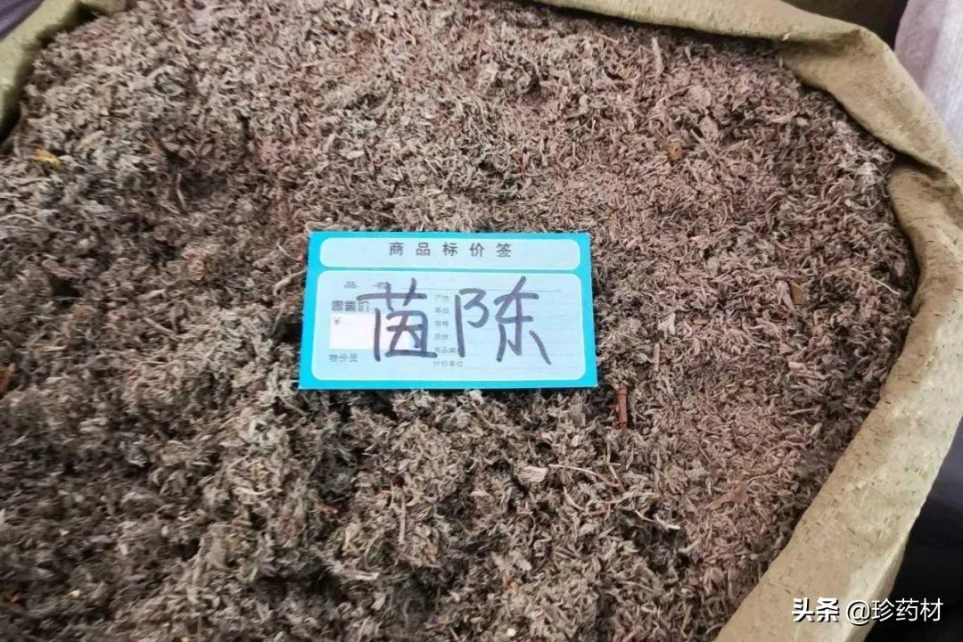茵陳行情深度解析，市場(chǎng)走勢(shì)與產(chǎn)業(yè)分析概覽