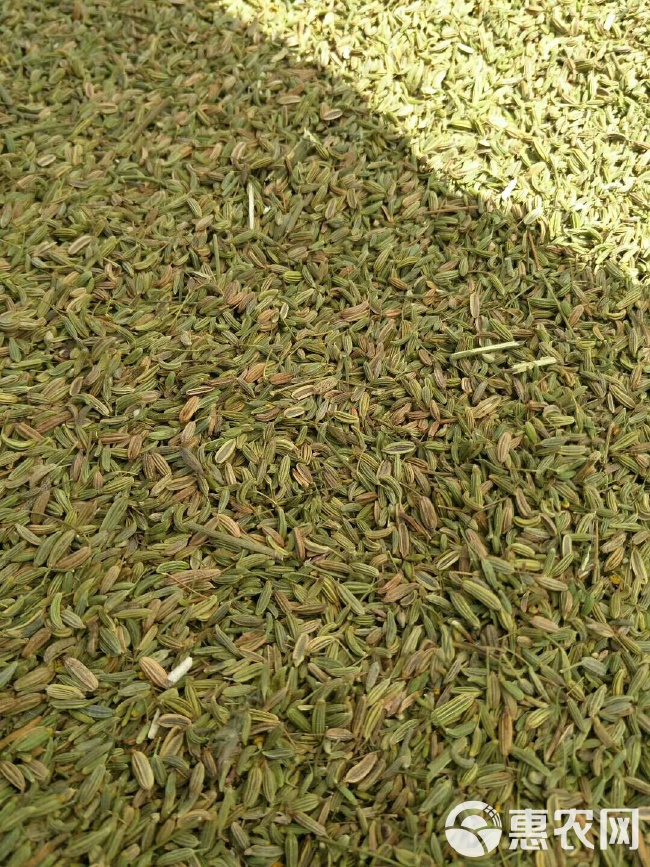 大茴香行情,大茴香行情，一場尋找內(nèi)心平靜的芳香之旅