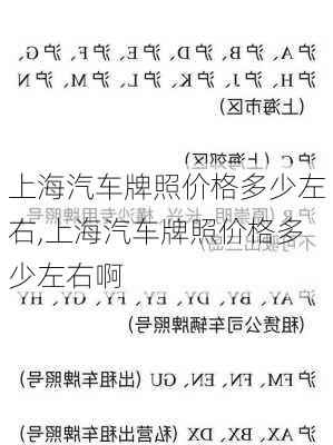 上海車牌最新段號(hào)，探尋自然美景之旅