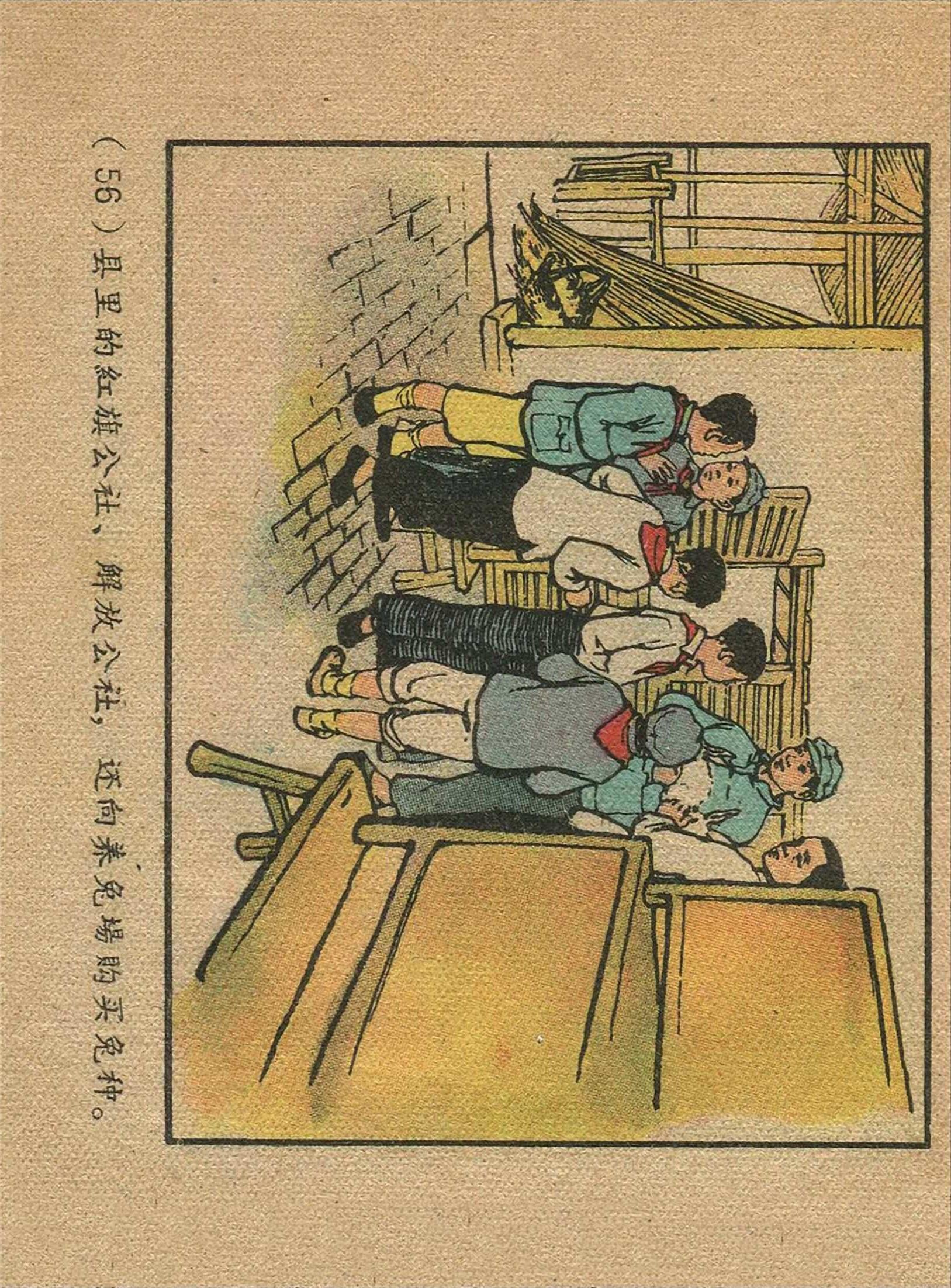 最新養(yǎng)兔,最新養(yǎng)兔技術(shù)，打造高效兔場(chǎng)的關(guān)鍵要素
