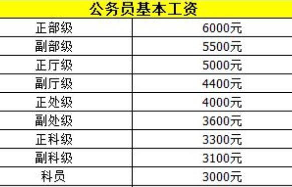 張公務(wù)員工資最新動(dòng)態(tài)詳解，全面步驟指南與動(dòng)態(tài)更新分析報(bào)告！