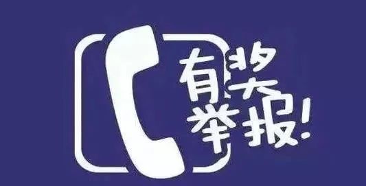 學(xué)習(xí)變化的力量，最新舉報(bào)與自信成就感的源泉探索