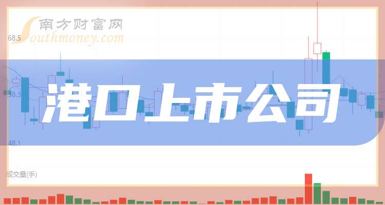 上港集團(tuán)上市，機(jī)遇與挑戰(zhàn)并存的征程