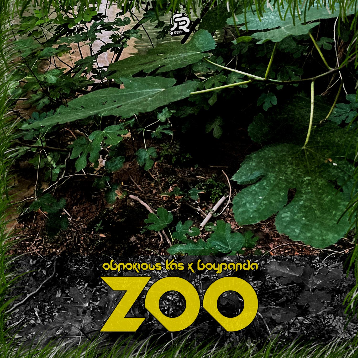 動物王國的現(xiàn)代面貌與探索之旅，最新ZOO深度探秘