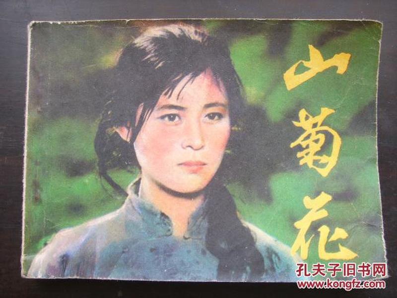 菊花電影之夜，溫馨有趣的電影時(shí)光