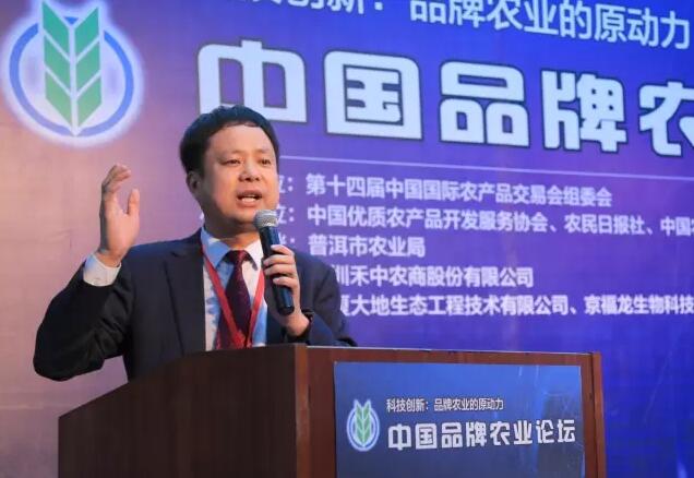 2025年1月 第8頁