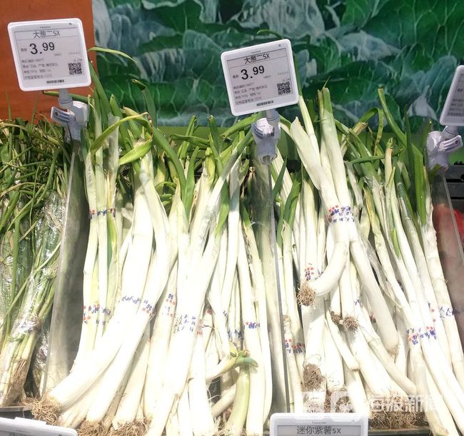 大蔥今日價(jià)格動(dòng)態(tài)，市場(chǎng)走勢(shì)、影響因素與案例分析