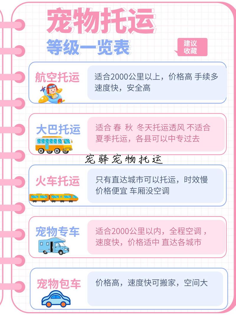 順豐托運寵物價格表，自信成就旅程，學習與變化的力量之旅