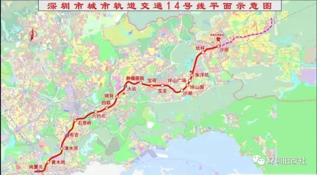 草社區(qū)2025新內(nèi)容探索與觀點(diǎn)闡述