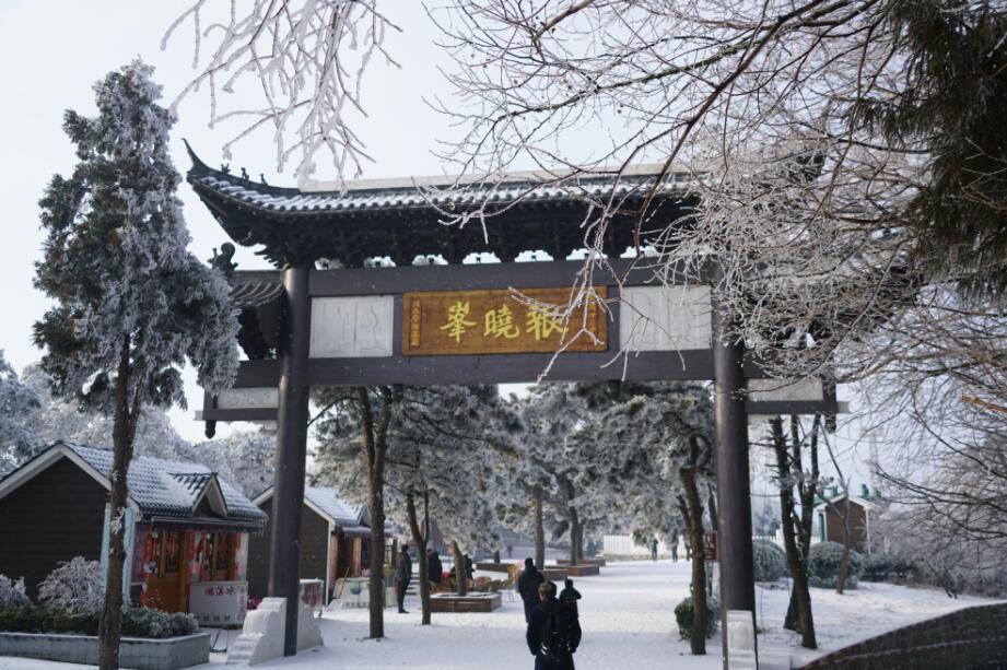 梨花白如玉，綻放之美與深邃內(nèi)涵的最新章節(jié)