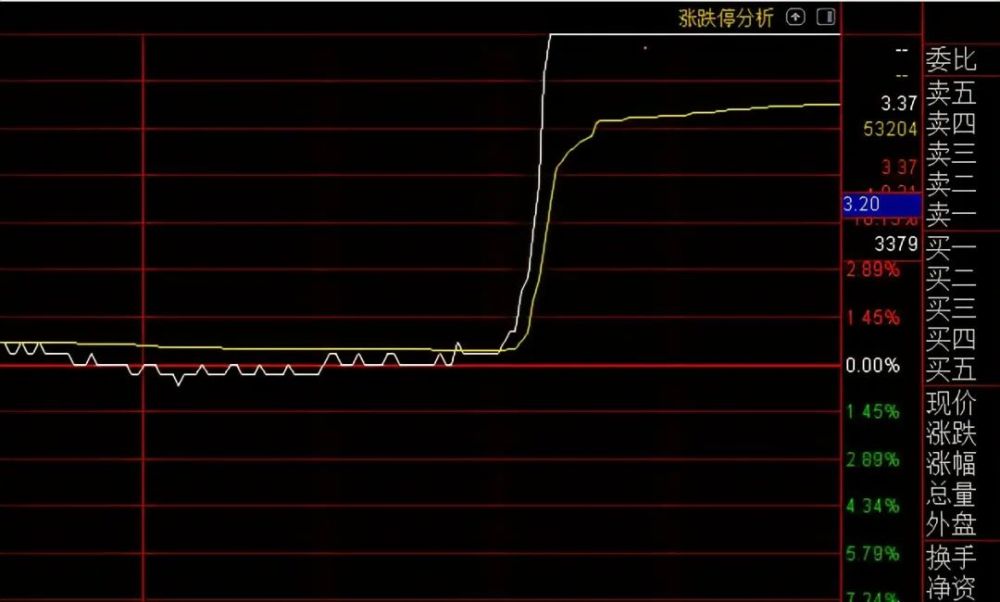 股票市盈率虧損解析，揭示隱藏小巷的秘密小店的風(fēng)險與挑戰(zhàn)