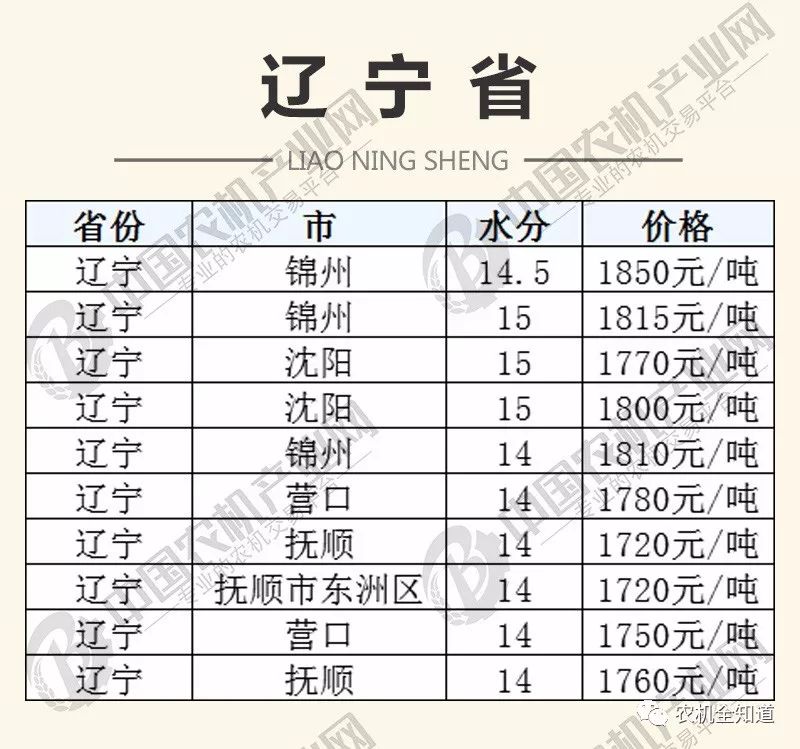 全國各地玉米價格行情深度解析與比較展望