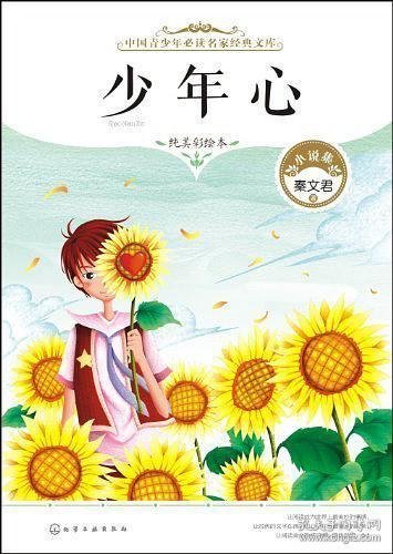 少年心緒新篇，任務(wù)完成與技能學(xué)習(xí)指南