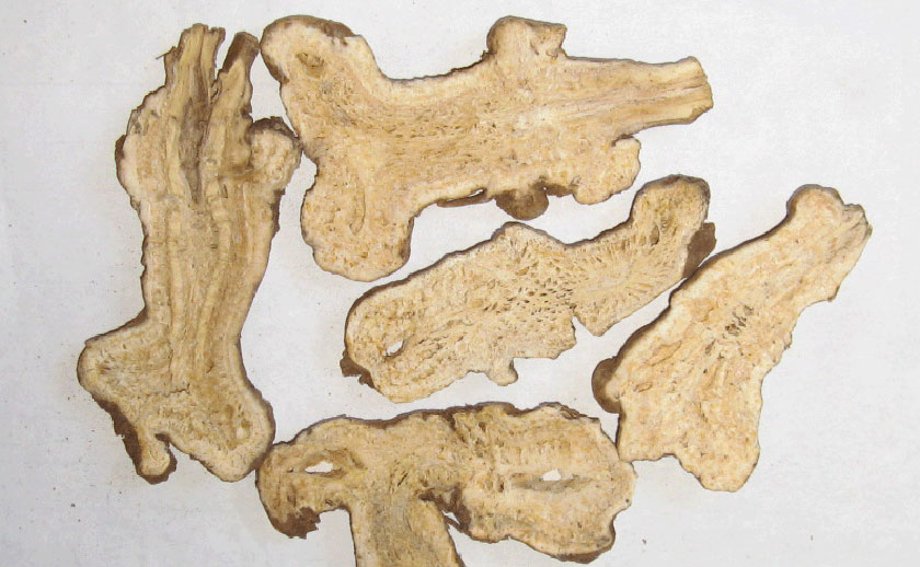 白術(shù)種子價(jià)格分析，市場(chǎng)走勢(shì)、品種差異與影響因素探討