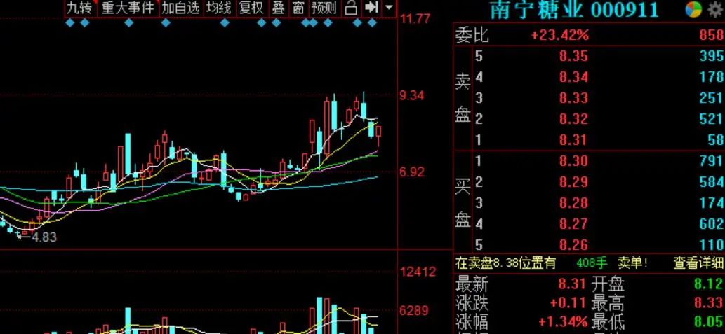南糖股票行情深度解析與大揭秘????