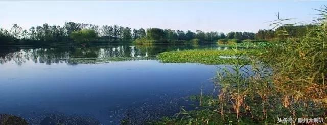 滕州龍泉灣最新進(jìn)展與動態(tài)更新
