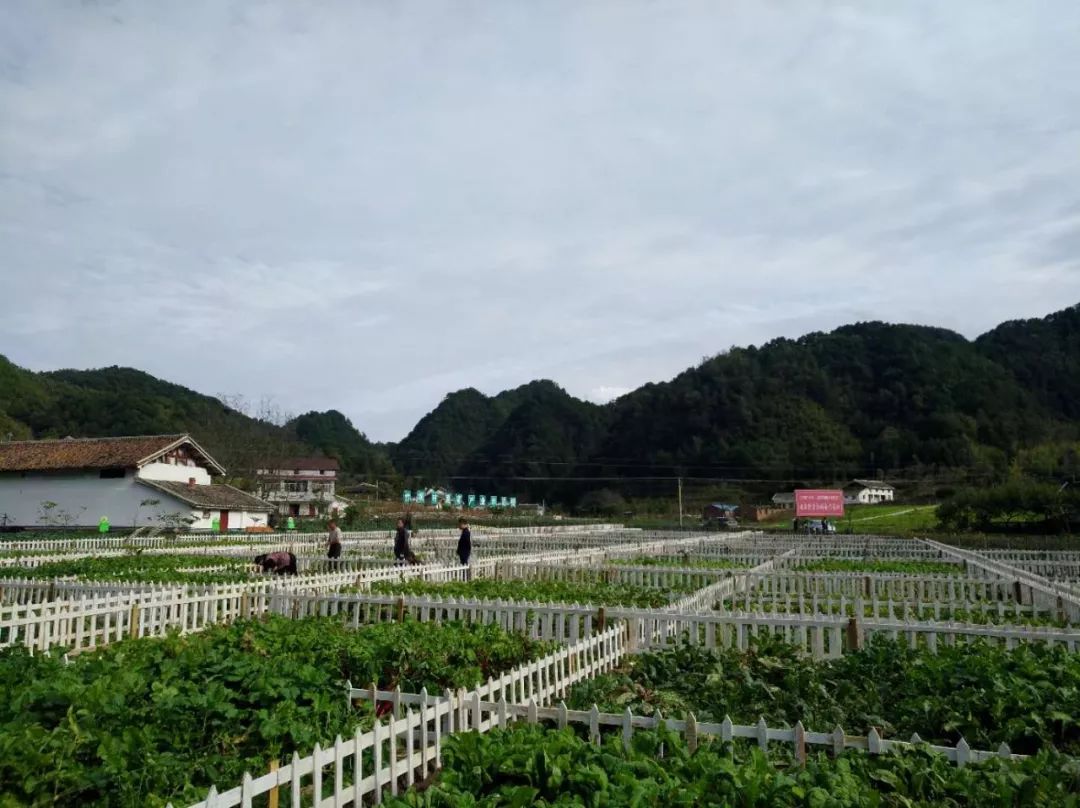 美麗河鎮(zhèn)發(fā)展藍(lán)圖揭秘，藍(lán)圖下的溫馨日常新篇章