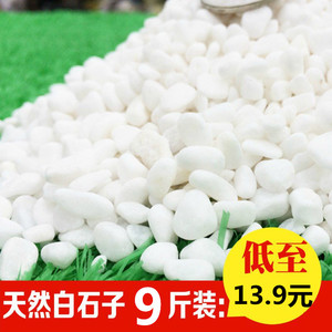 陶毅雅