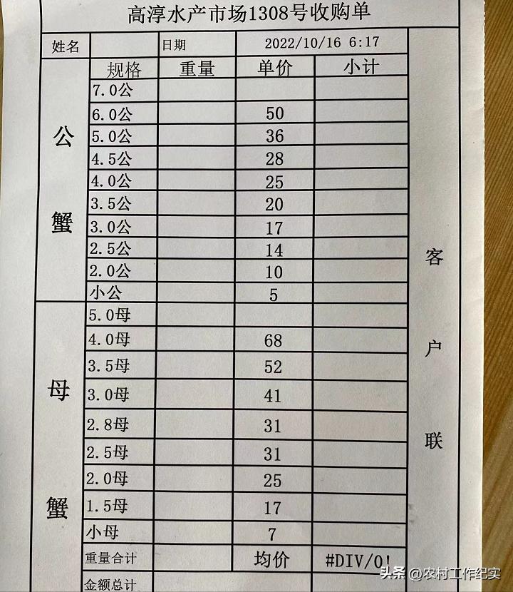 深度解析，最新興化的背景、重要事件與地位